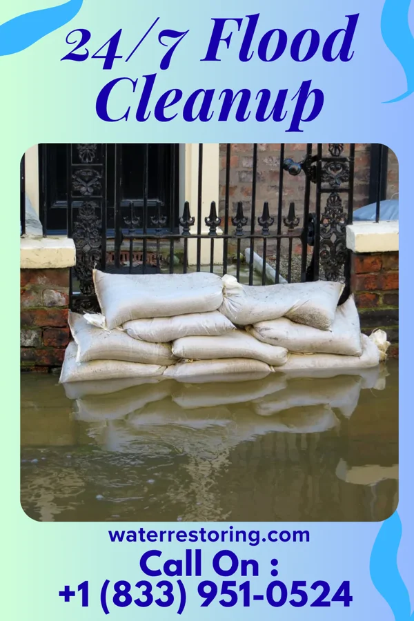 24/7 Flood Cleanup in Mantador, ND