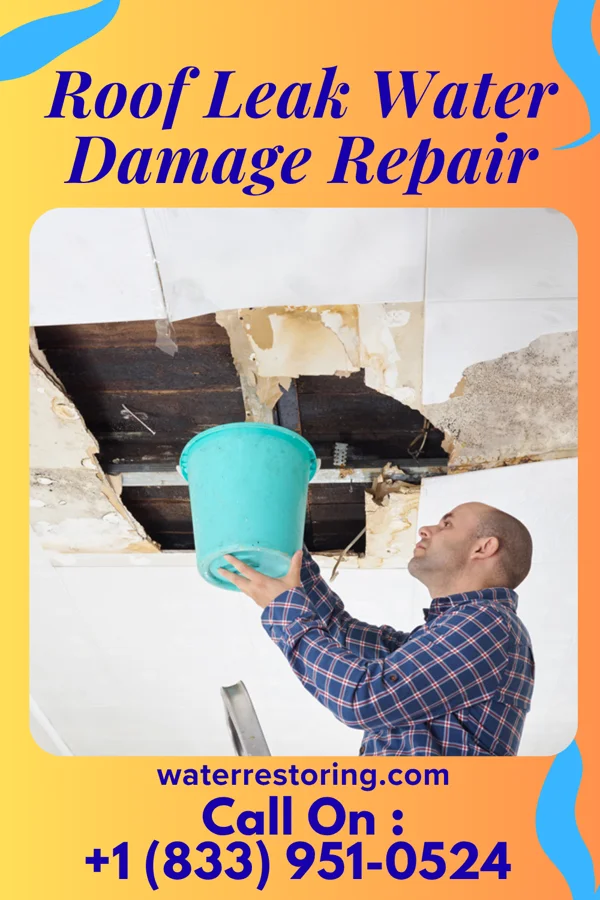 Roof Leak Water Damage Repair in Mantador, ND