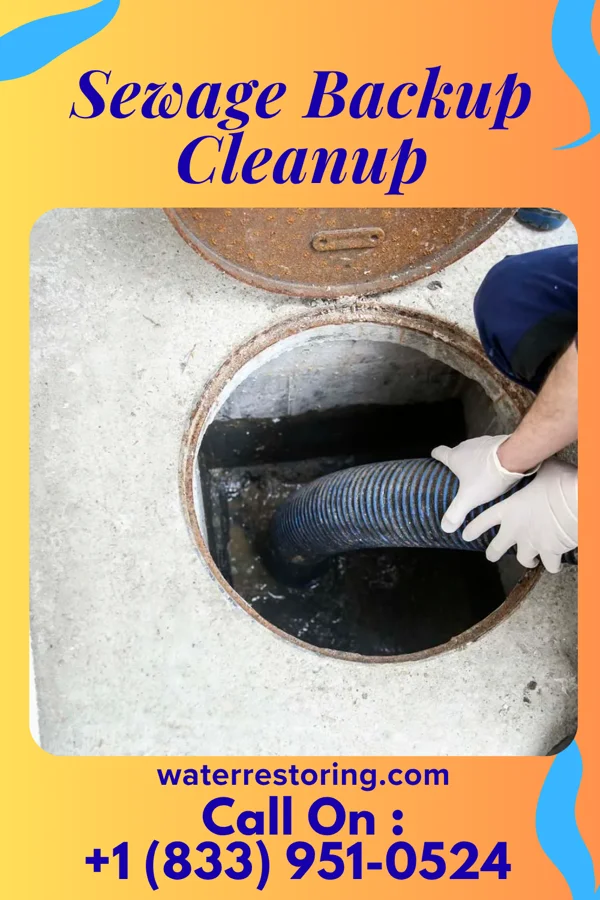 Sewage Backup Cleanup in Mantador, ND